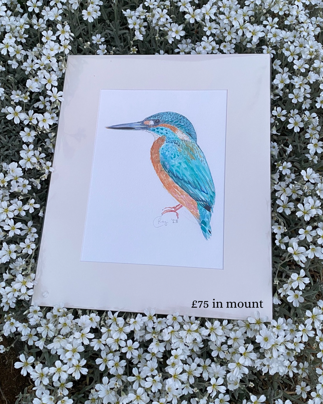 Original Kingfisher Watercolour - in mount