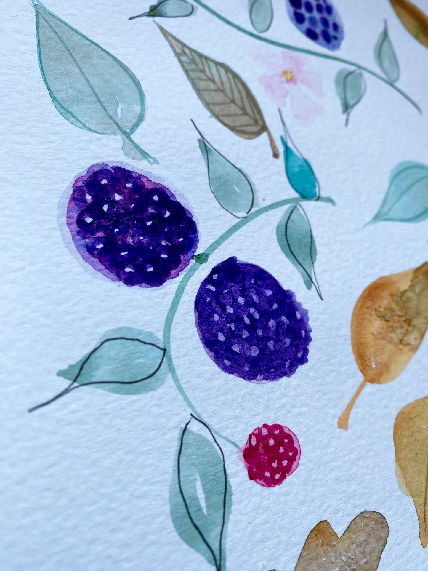 Blackberries and Repeat patterns Tutorial (Pre-Recorded)