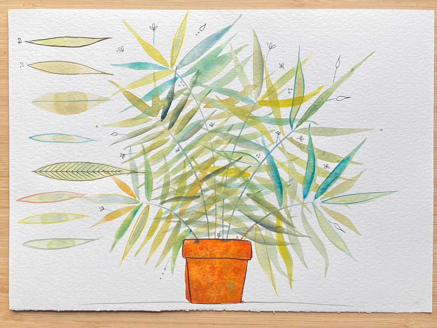 Artwork - ferns from teaching session