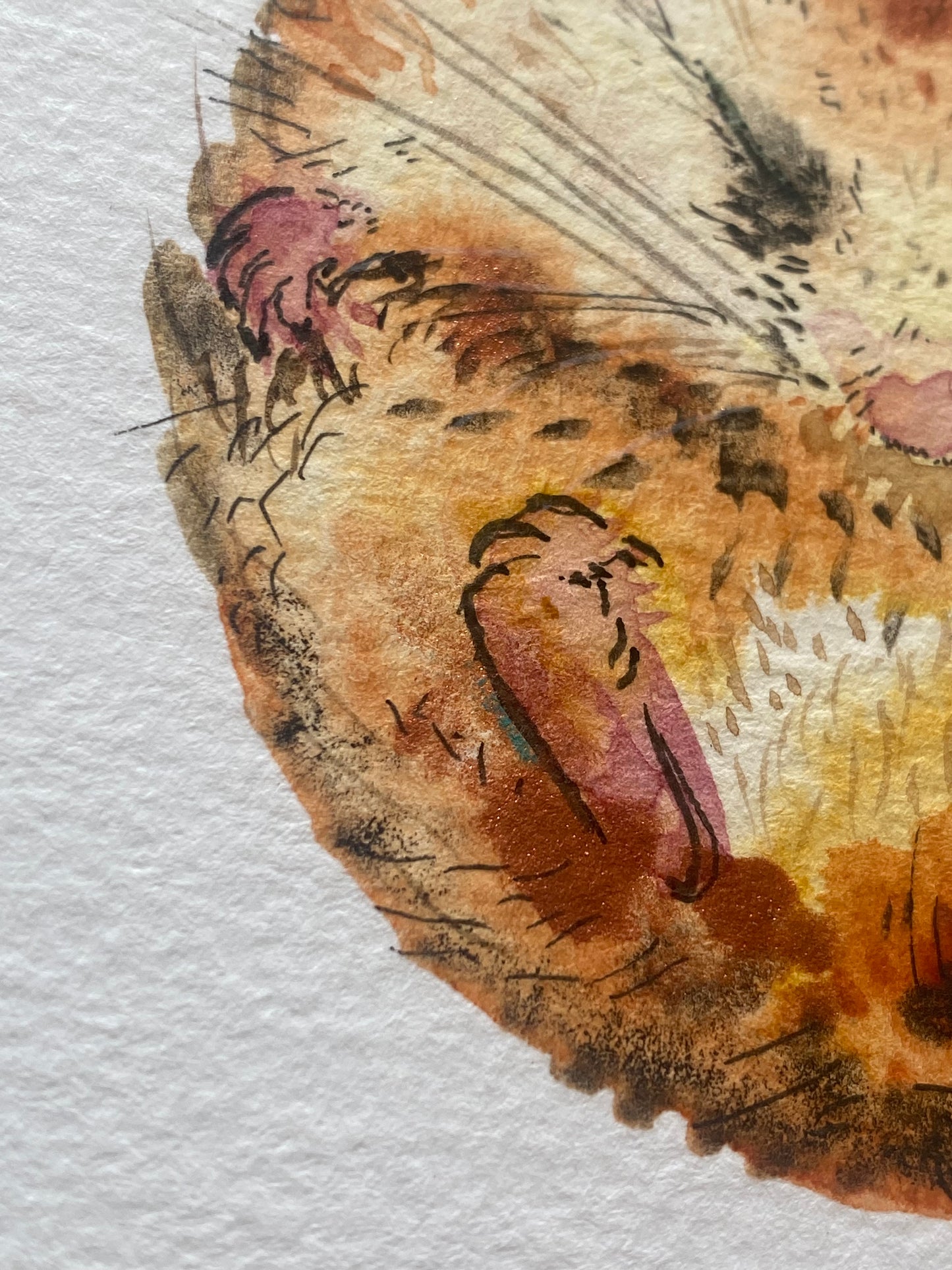 Original We All Need Different Amounts of Rest Dormouse - in mount