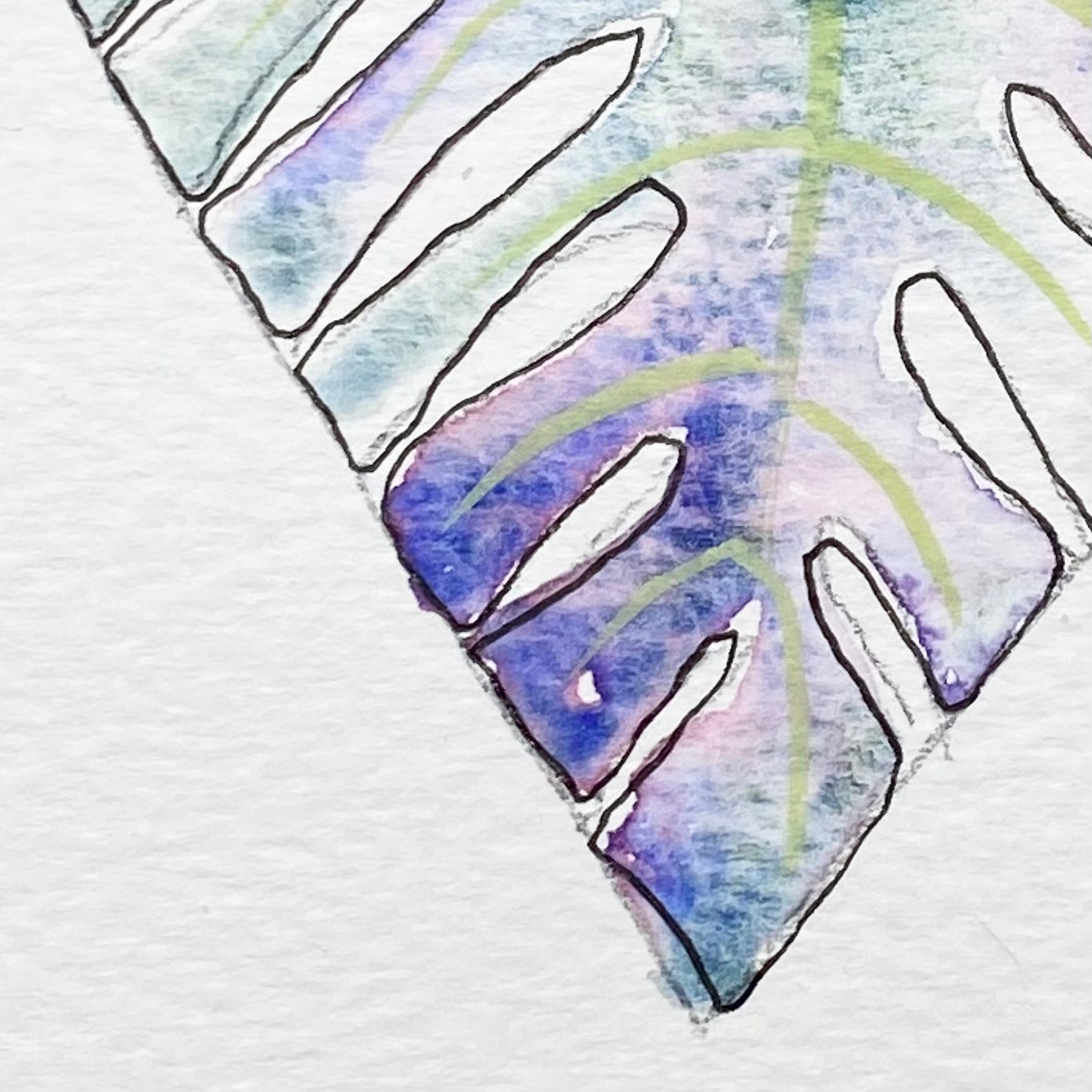 Monstera pt. 1 Tutorial (Pre-Recorded) aka Using Enough Water