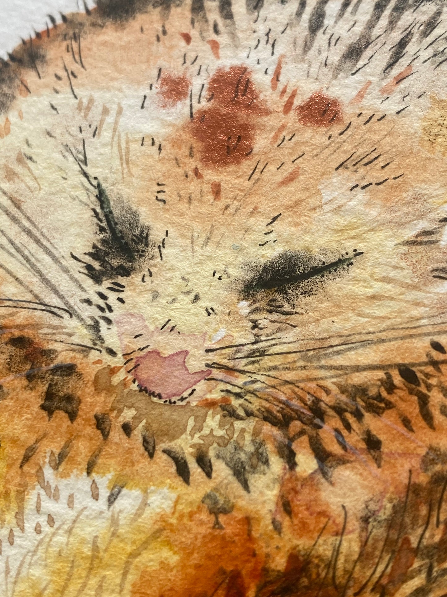Original We All Need Different Amounts of Rest Dormouse - in mount