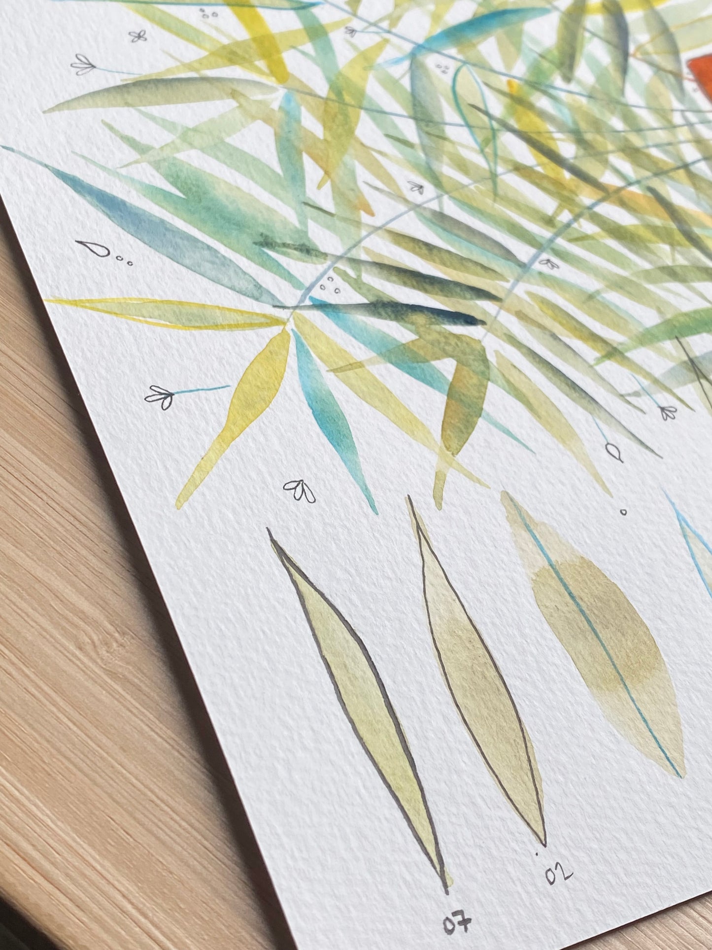Artwork - ferns from teaching session