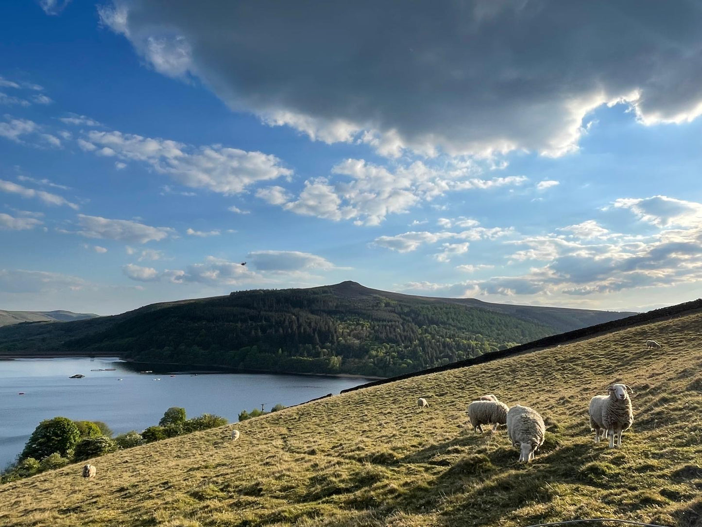 Embroidery & Watercolour Workshop (Peak District)