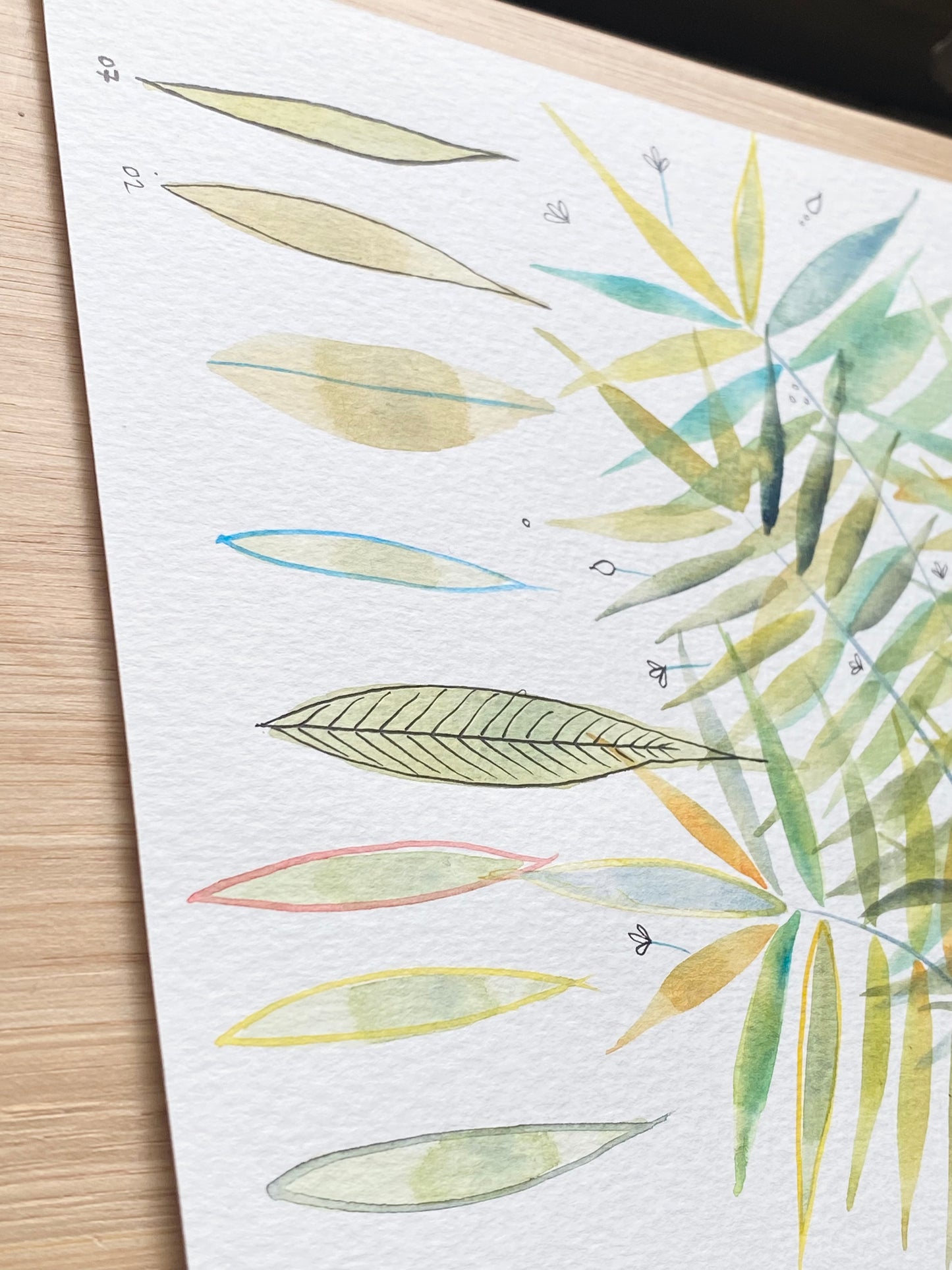 Artwork - ferns from teaching session