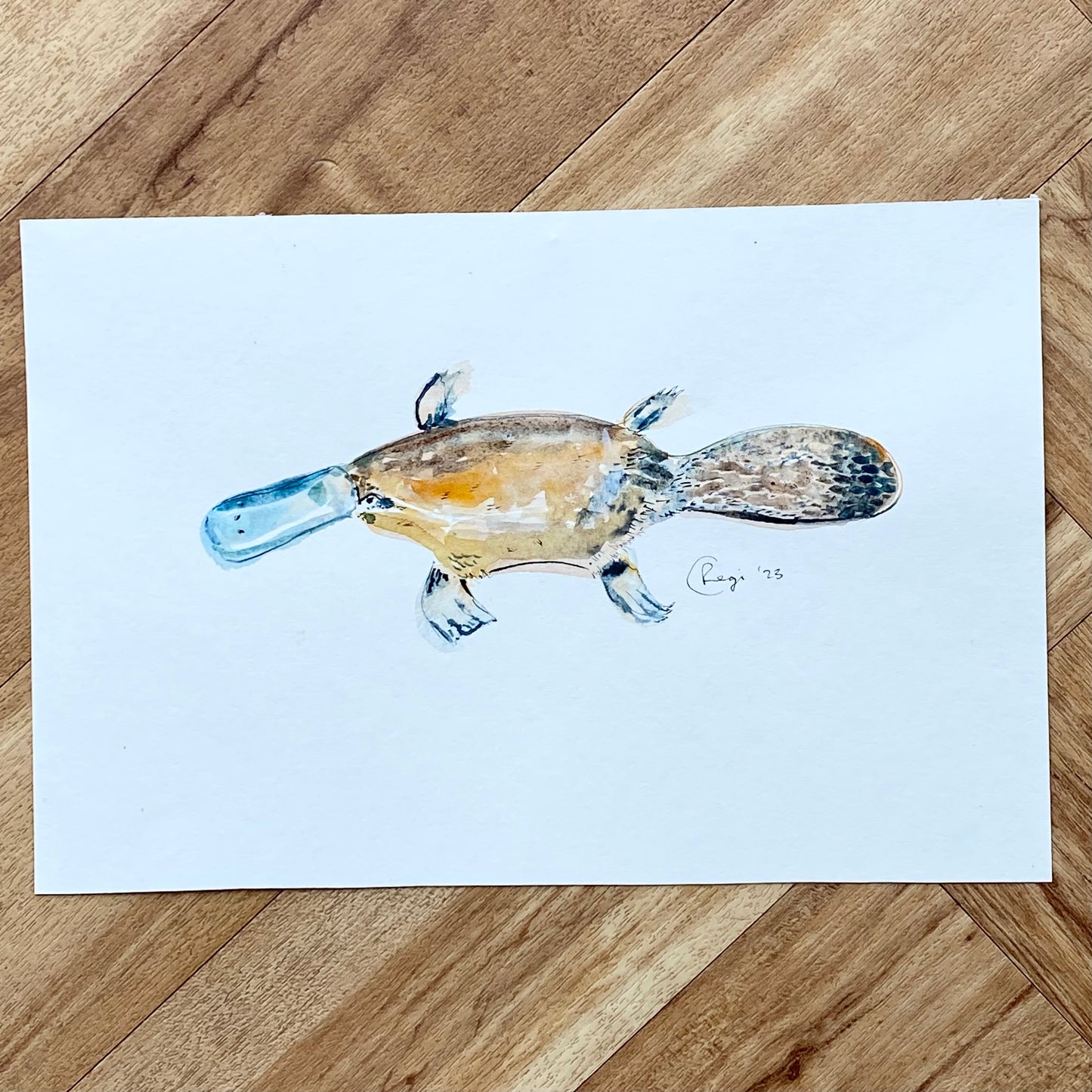 Original sketches and drafts - Duckbilled Platypus