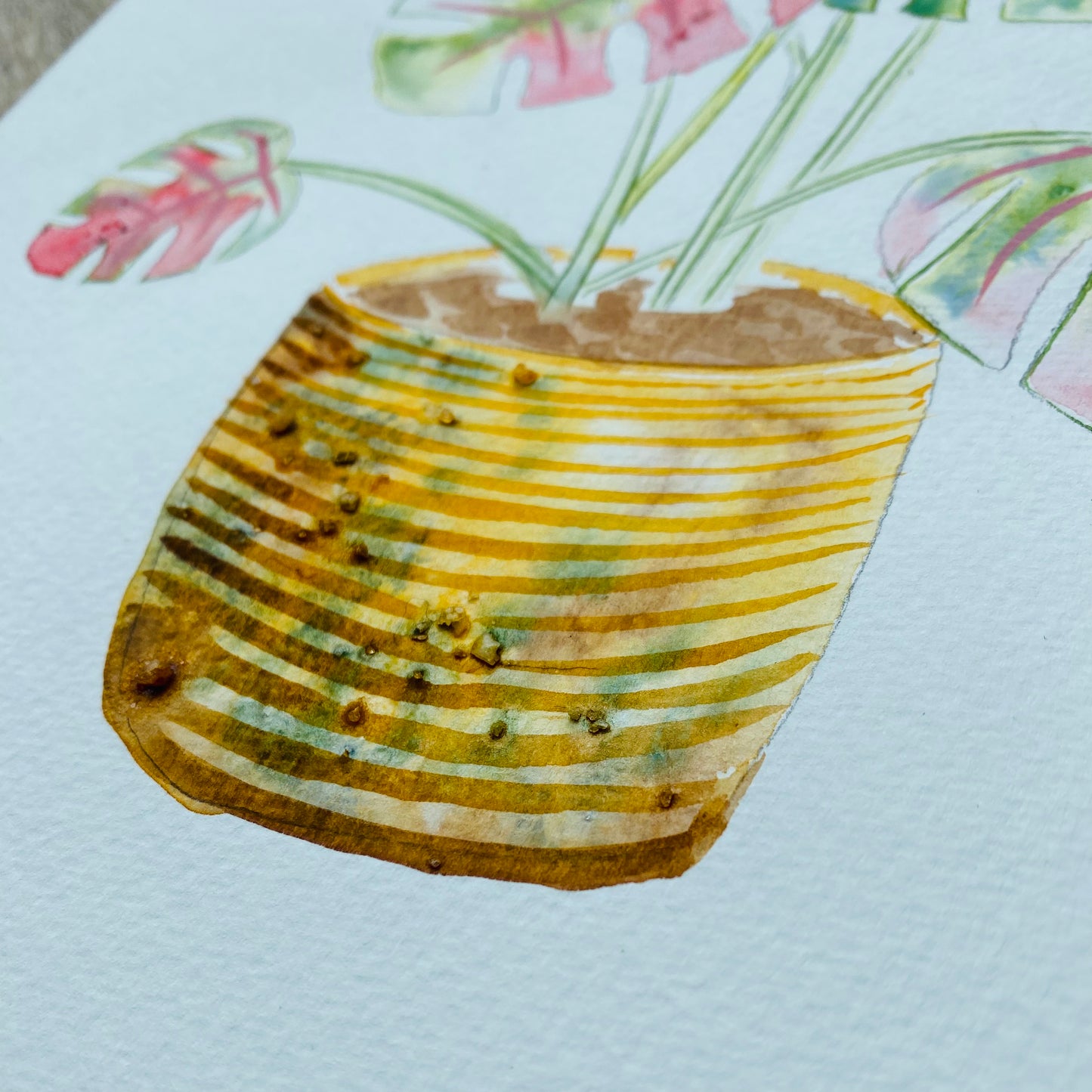 Monstera pt. 2 The Full Plant Tutorial (Pre-Recorded)