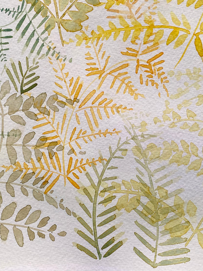 Ferns and sunlight Tutorial (Pre-Recorded)
