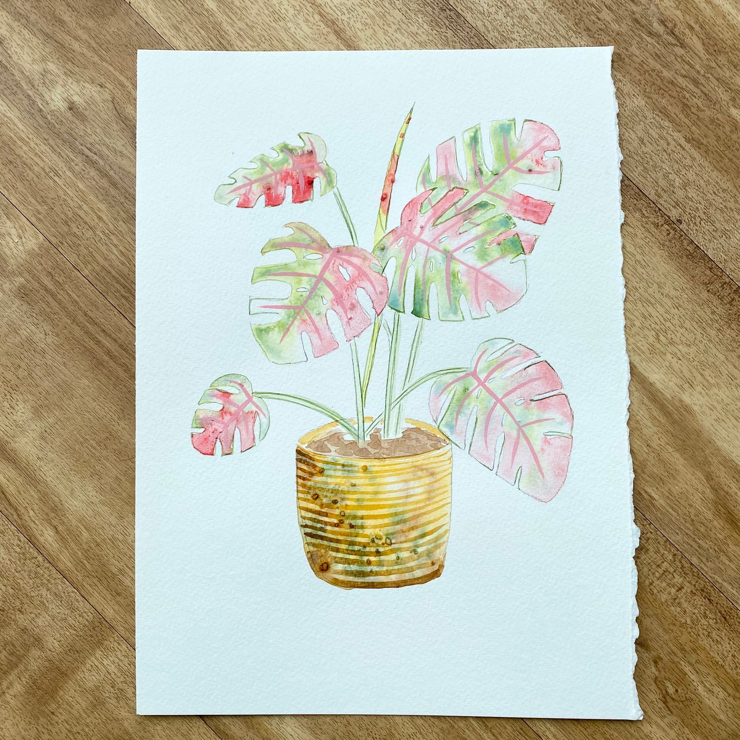 Monstera pt. 2 The Full Plant Tutorial (Pre-Recorded)