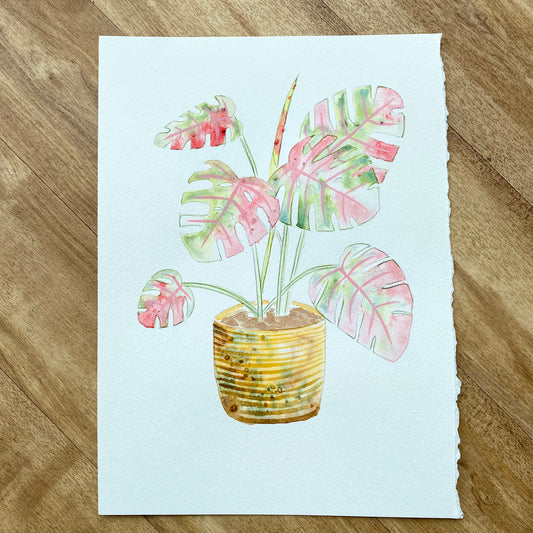 Monstera pt. 2 The Full Plant Tutorial (Pre-Recorded)