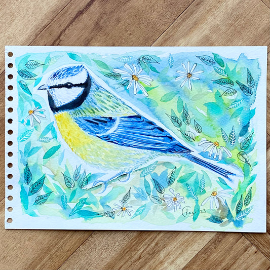 Original sketches and drafts - Bluetit