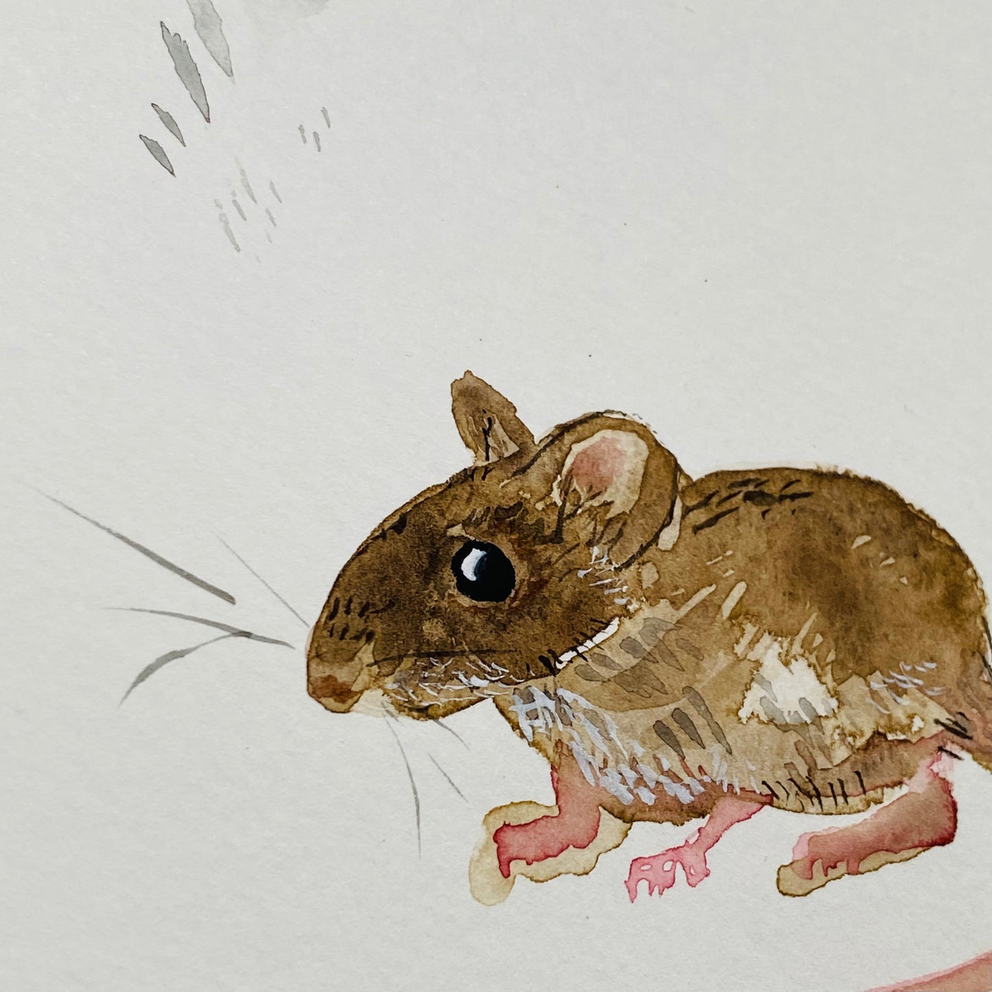Antiperfection Mice Tutorial (Pre-Recorded)