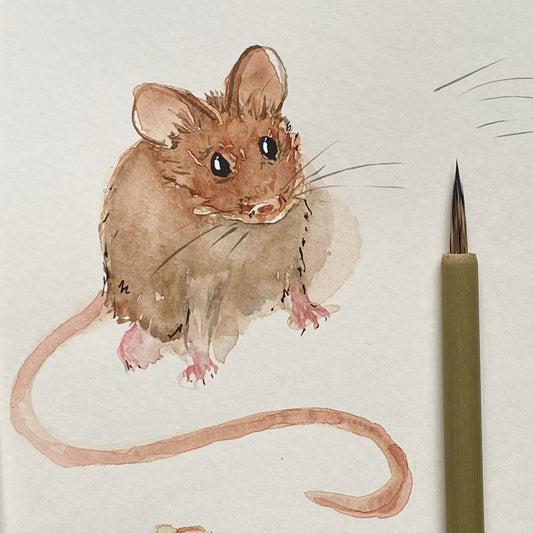 Antiperfection Mice Tutorial (Pre-Recorded)
