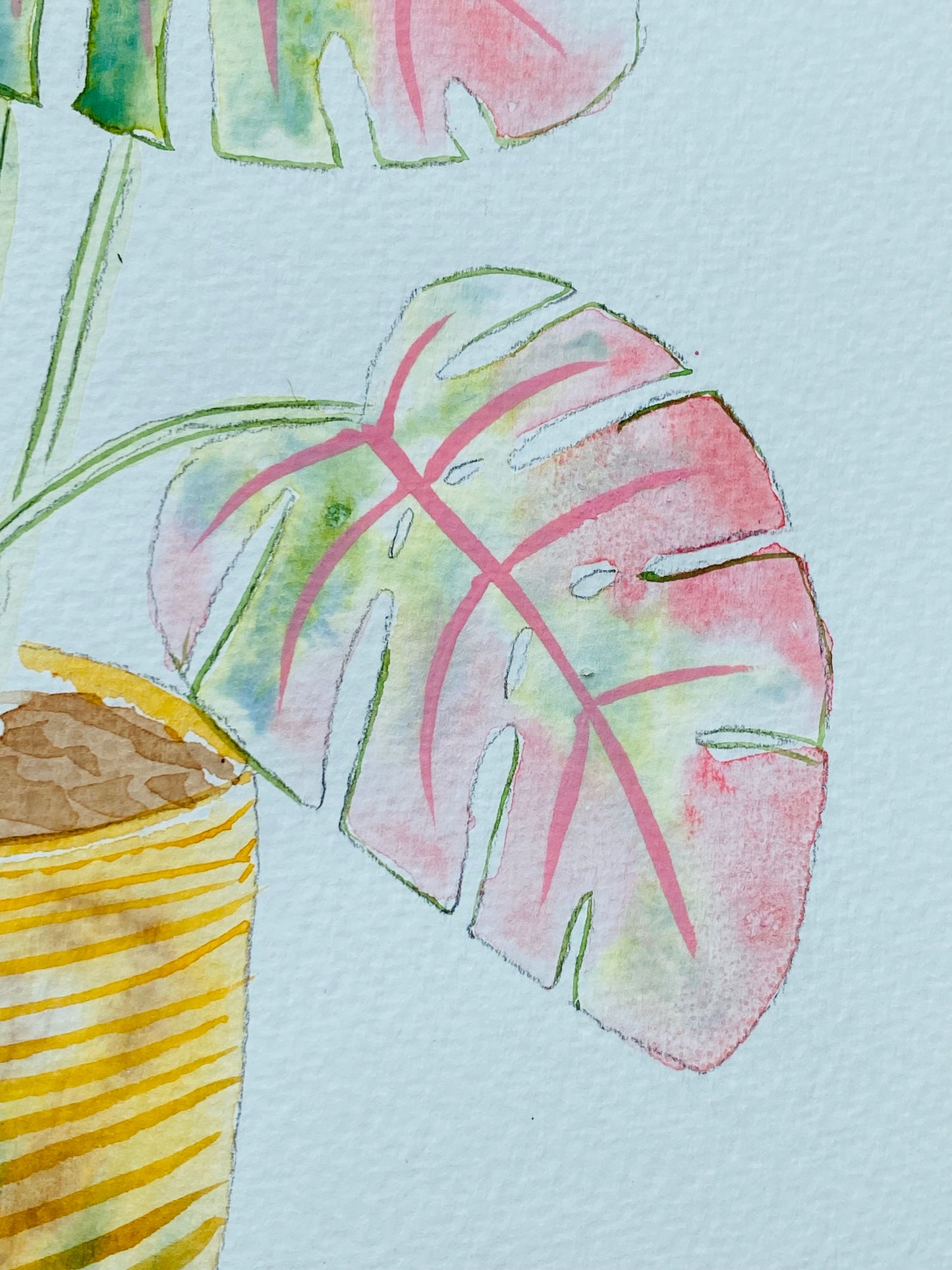 Monstera pt. 2 The Full Plant Tutorial (Pre-Recorded)