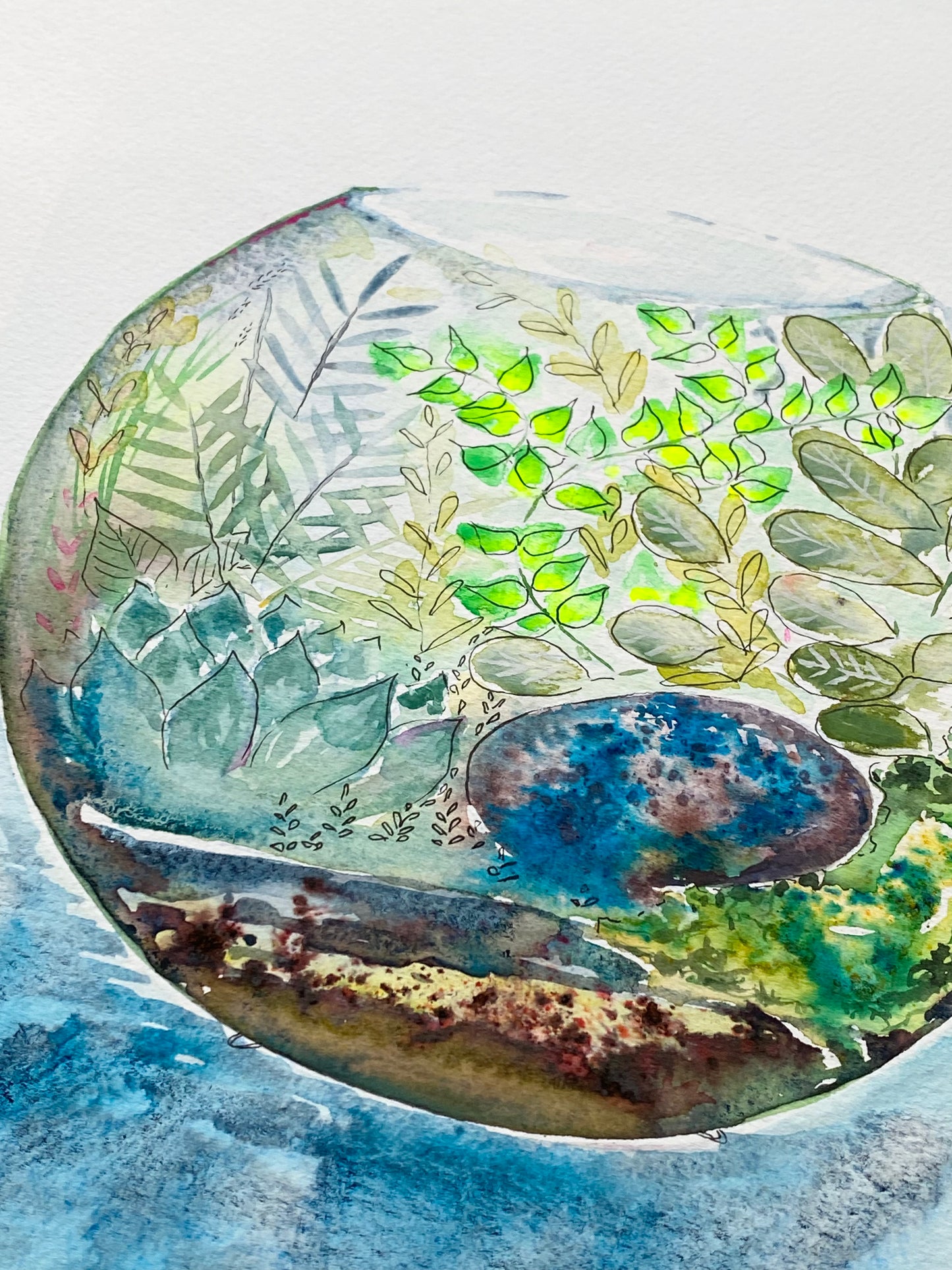 Original sketches and drafts - Terrarium