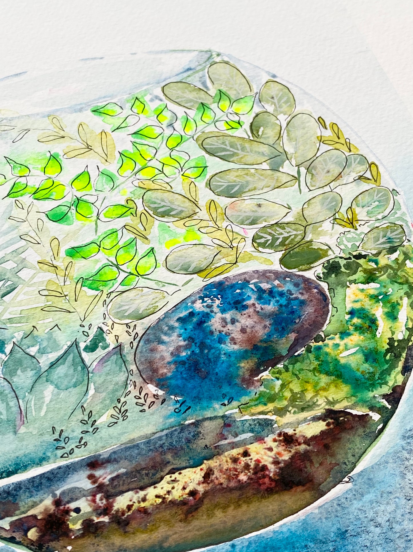 Original sketches and drafts - Terrarium