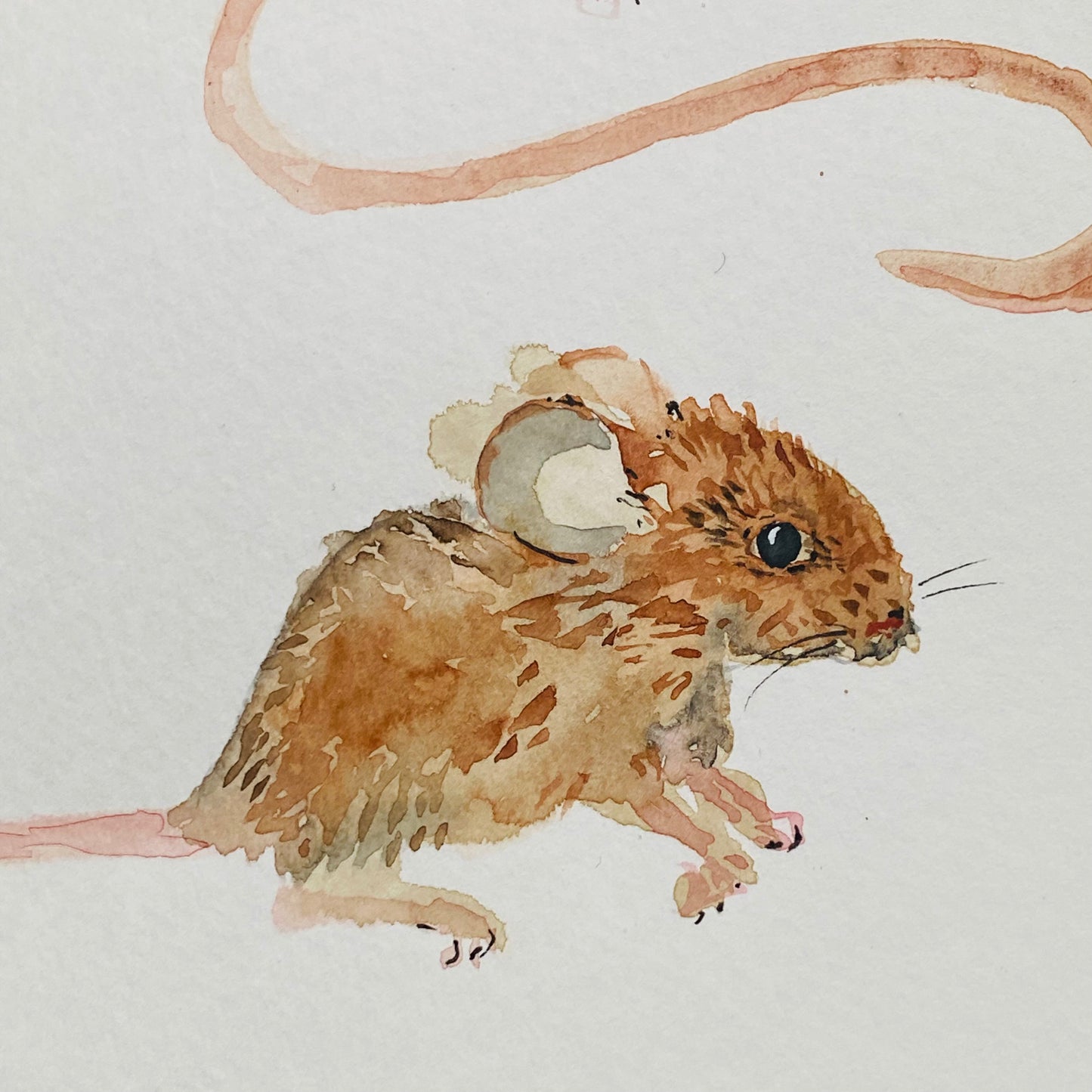 Antiperfection Mice Tutorial (Pre-Recorded)