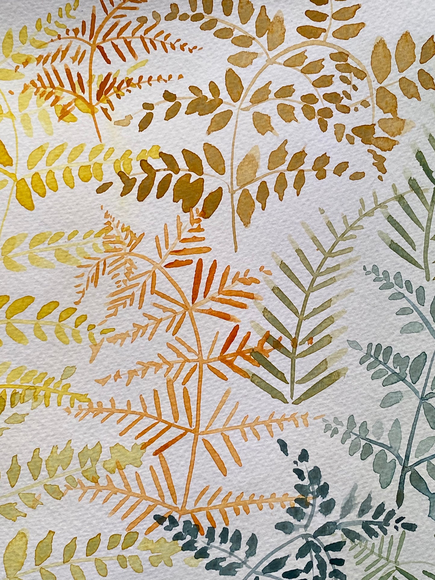 Ferns and sunlight Tutorial (Pre-Recorded)