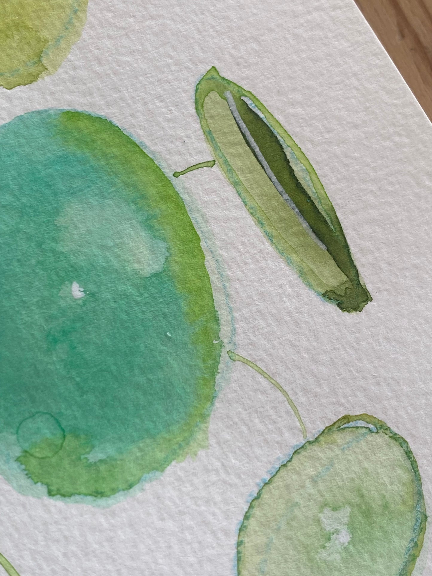 Money Plant Tutorial (Pre-Recorded)