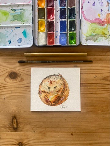 Original We All Need Different Amounts of Rest Dormouse - in mount