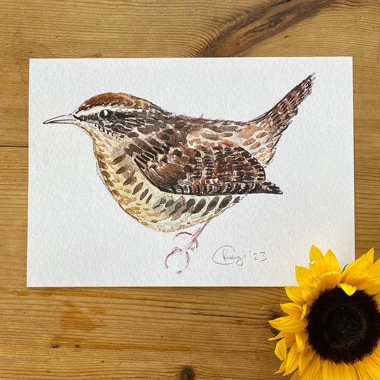 Wren A4 Print
