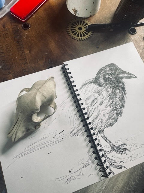 Guest Workshop - Experimental Drawing- Flora and Fauna