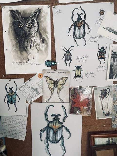 Guest Workshop - Experimental Drawing- Flora and Fauna
