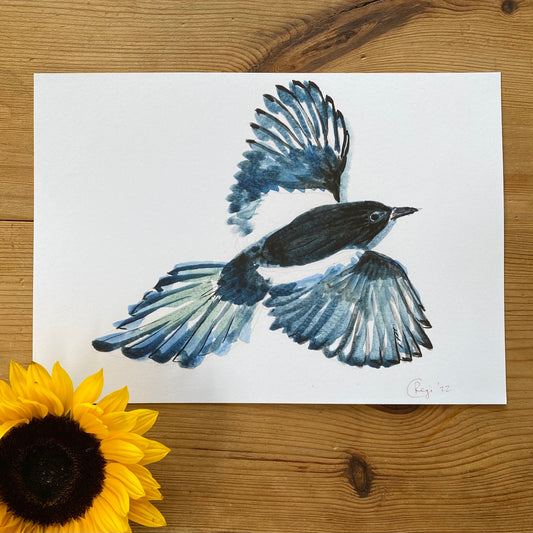 Magpie A4 Print