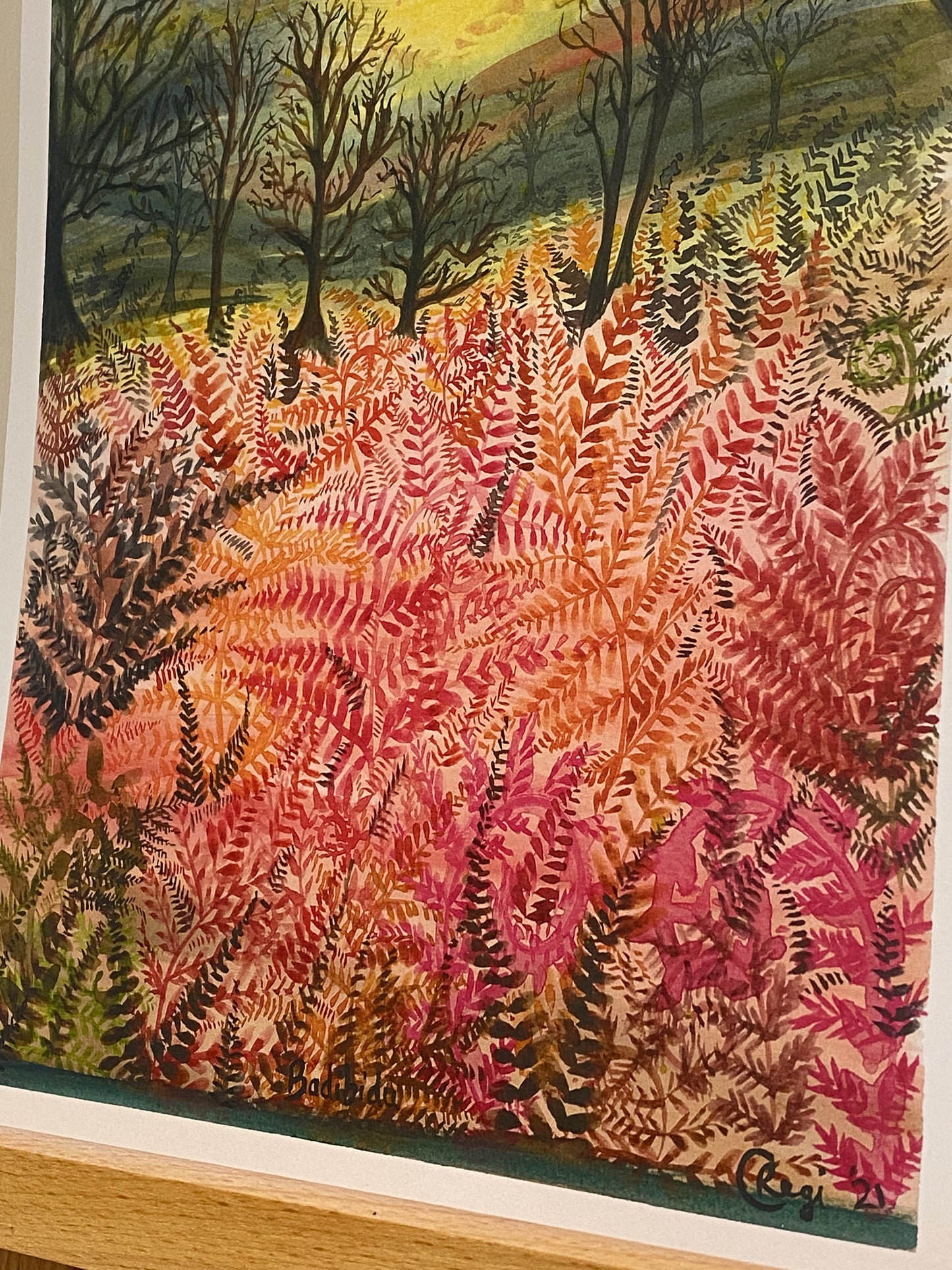 Hathersage Ferns A3 Prints x5