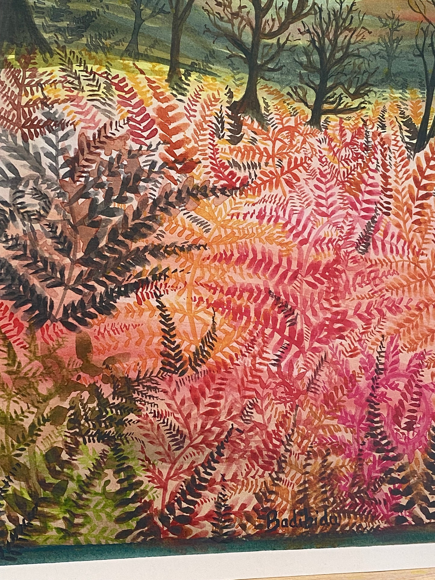 Hathersage Ferns A3 Print