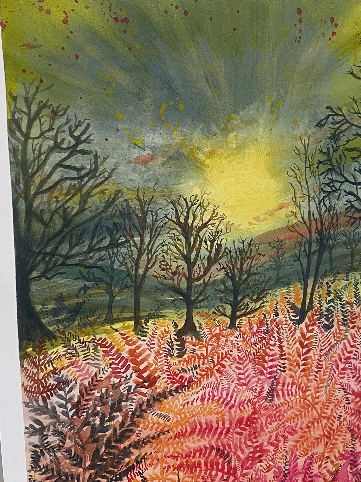 Hathersage Ferns A3 Print