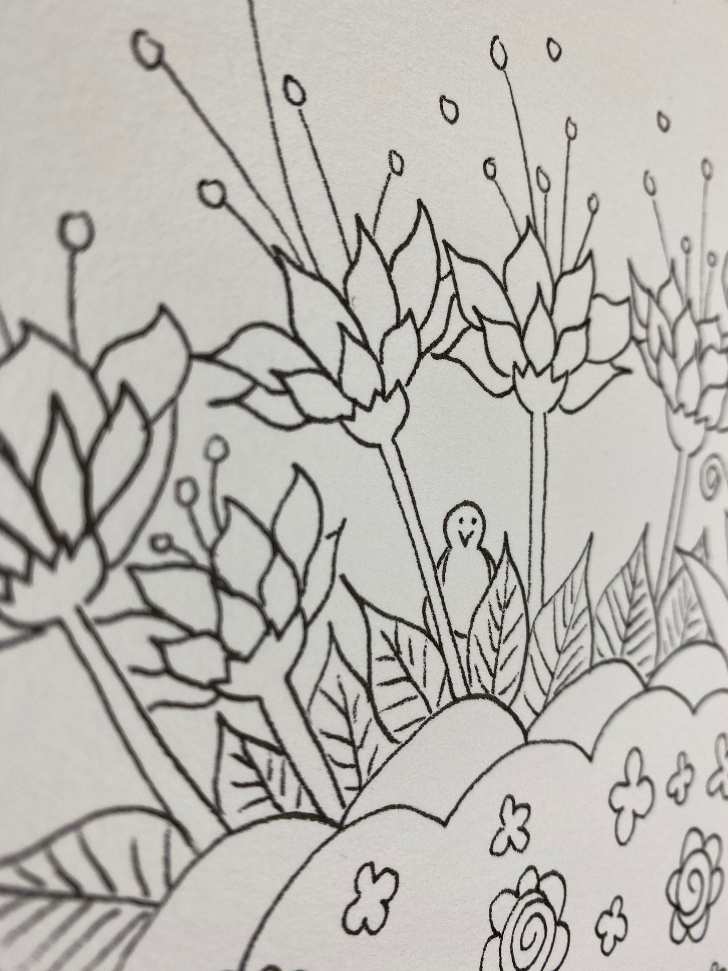 A4 colouring sheets - digital downloads