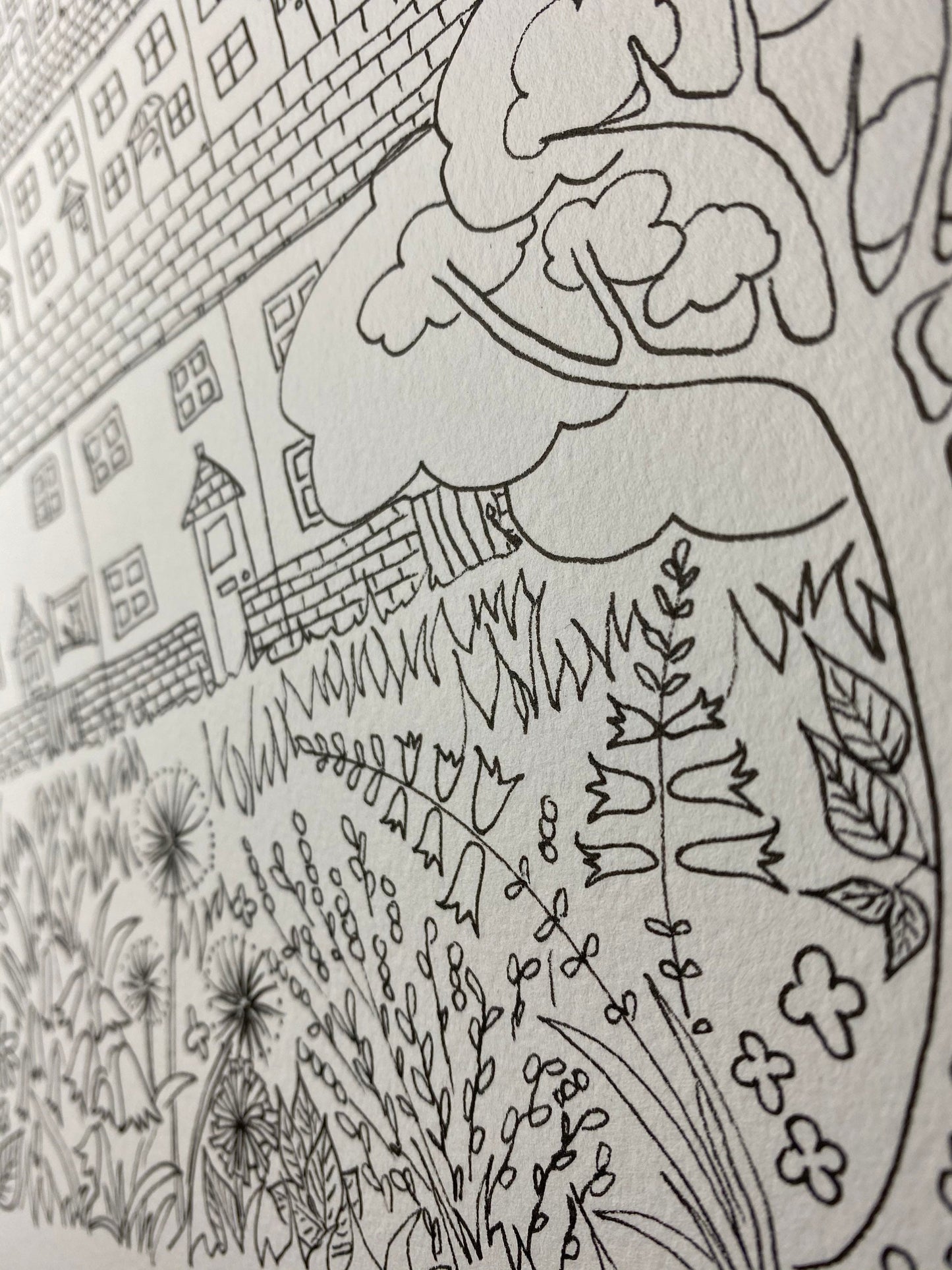 A4 colouring sheets - digital downloads