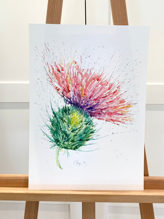 Limited edition A3 Giclee - Leaning thistle