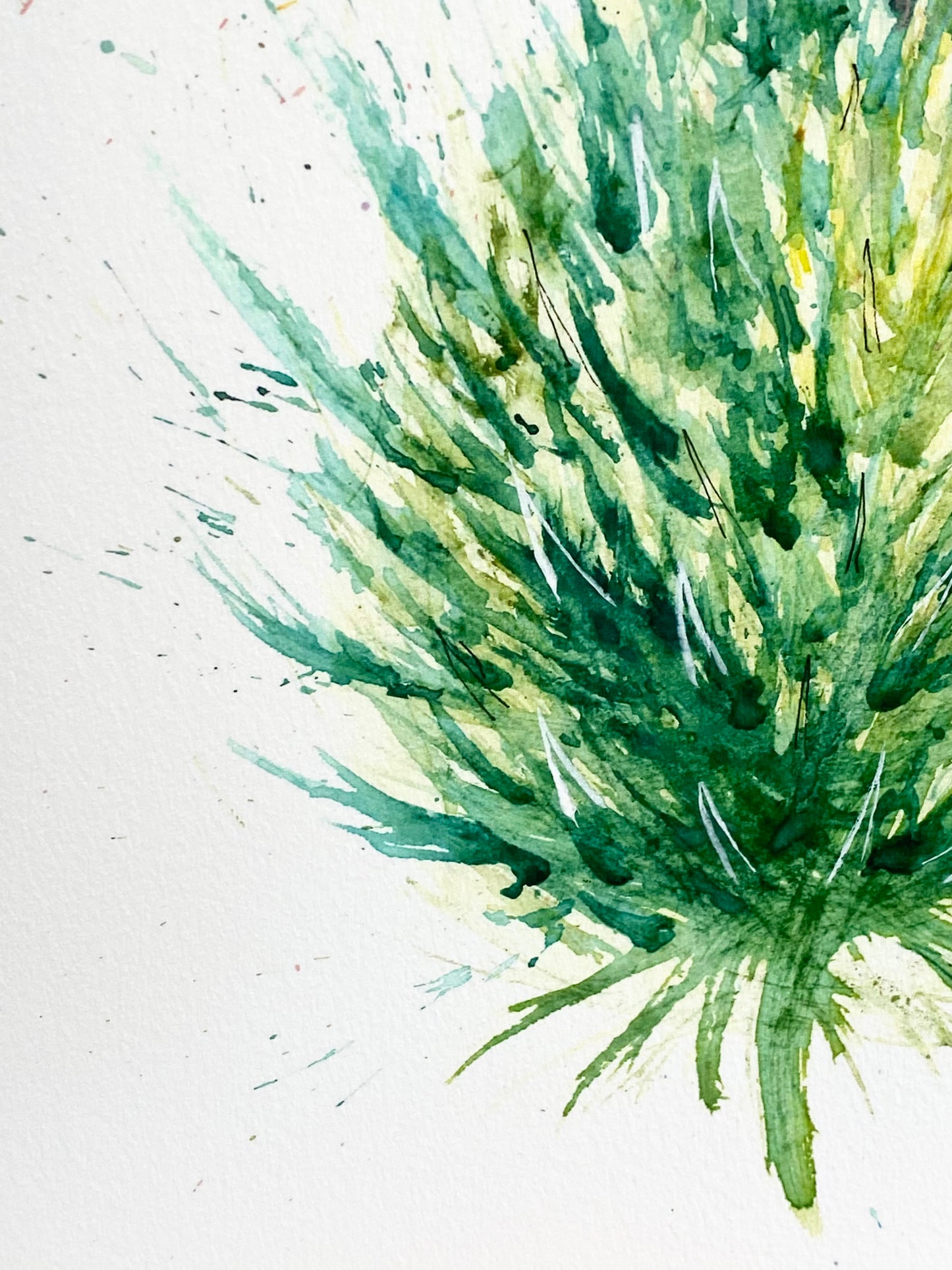 Limited edition A3 Giclee - Upright thistle