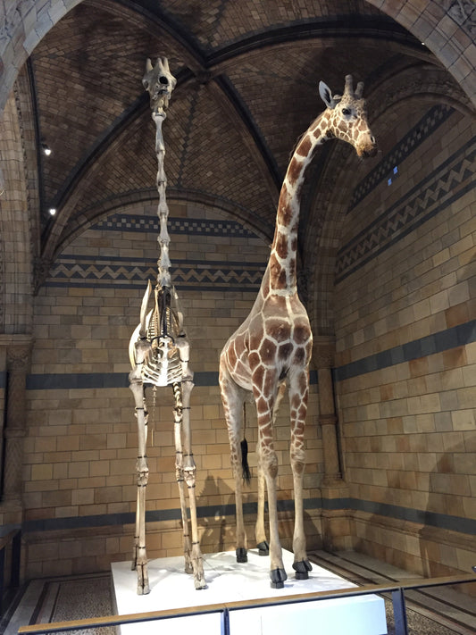 London daytrips with autistic and ADHD kids - my quick thoughts