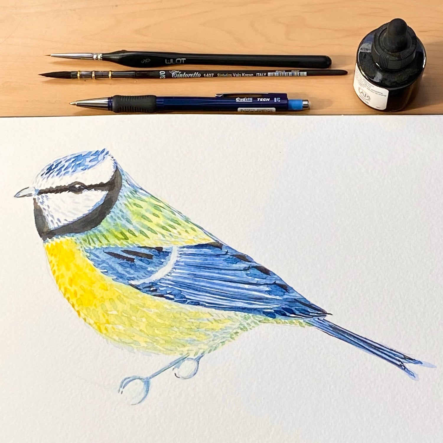 The Birds Collection - wholesale