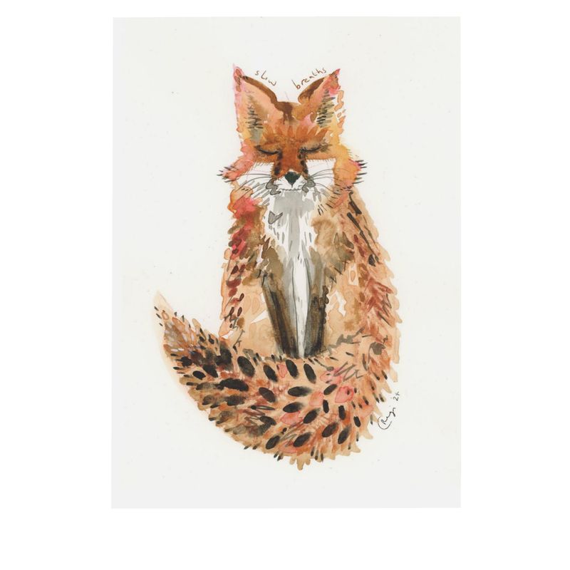 Calm Fox postcards x4