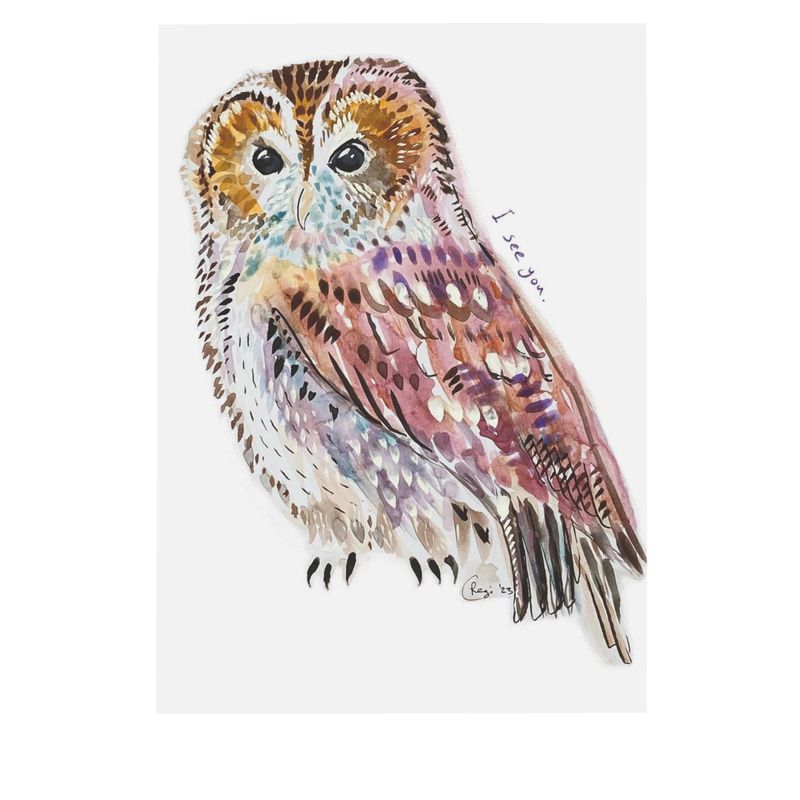 I See You Owl postcards x4