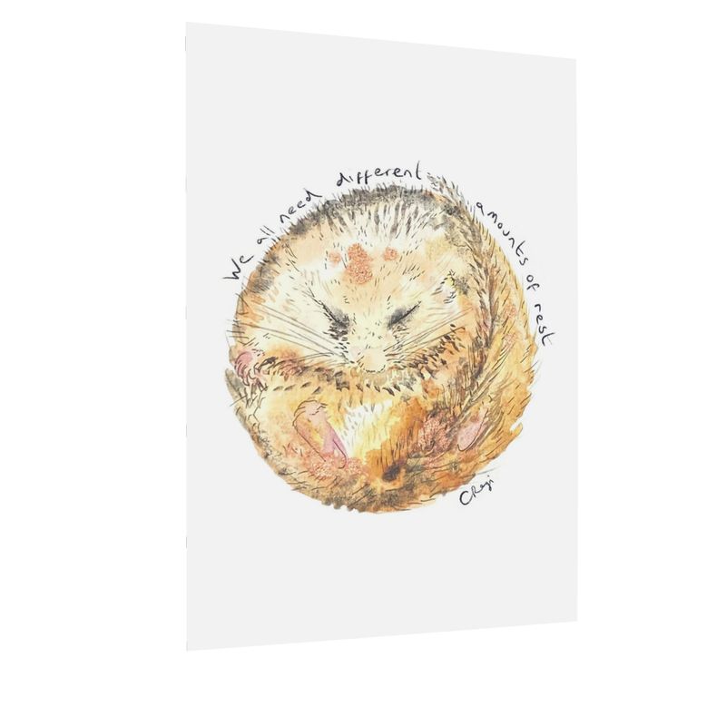 Resting Dormouse postcards x4
