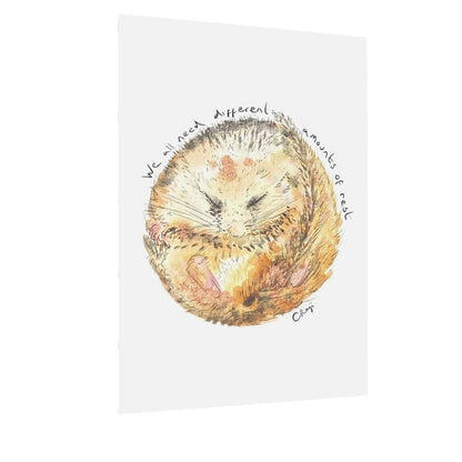 Resting Dormouse postcards x4