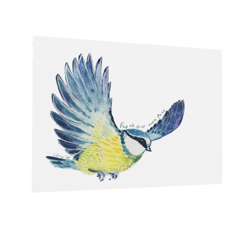 Flying Bluetit postcards x4