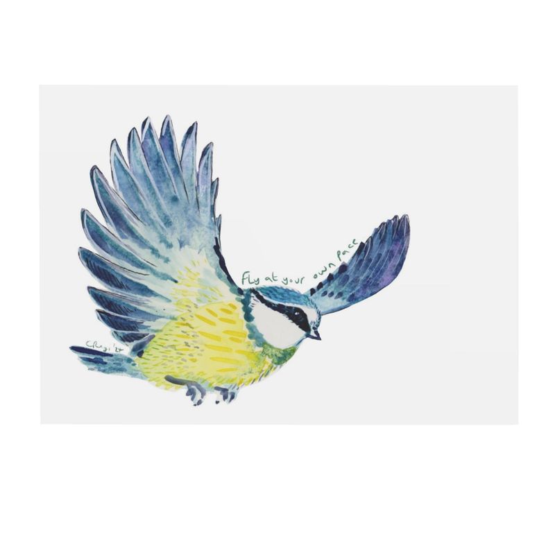 Flying Bluetit postcards x4