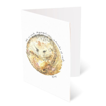 A6 Resting Dormouse Greetings card Packs