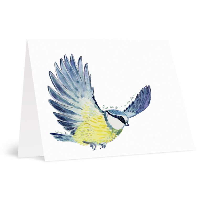 A6 Flying Bluetit Greetings card Packs