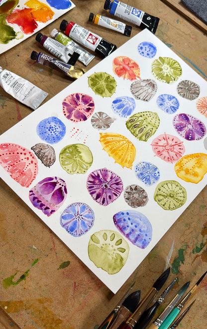 Sea Urchins and Water-marks Tutorial (Pre-Recorded)