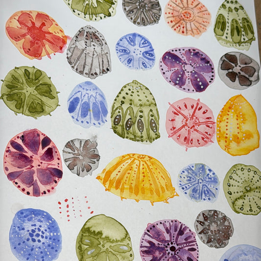 Sea Urchins and Water-marks Tutorial (Pre-Recorded)
