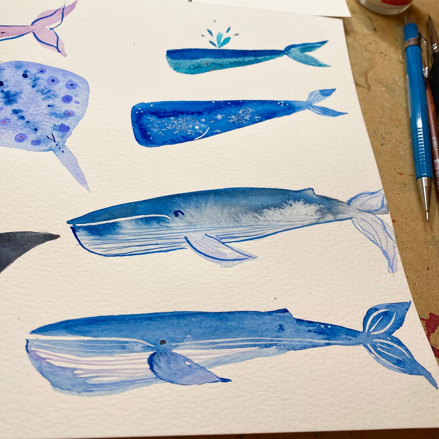 Whales and Mantaray Tutorial (Pre-Recorded)