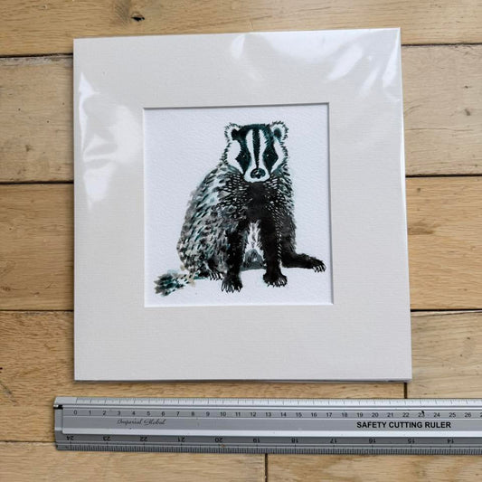 Original Not a Clue Badger - in mount
