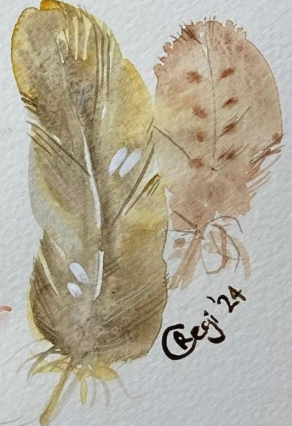 Feathers Tutorial (Pre-Recorded)